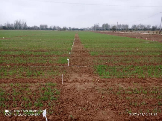 1639710347136538.png image.png