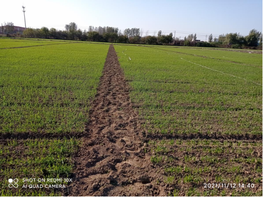 1639710357422703.png image.png